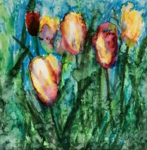 Tulips